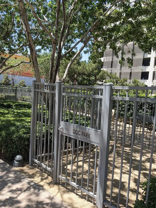 Vdara Dog Park 7