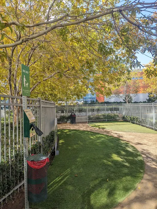 Vdara Dog Park 4