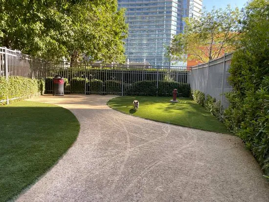 Vdara Dog Park 1