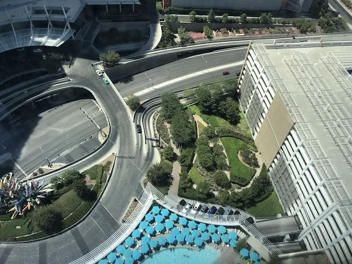 Vdara Dog Park 2