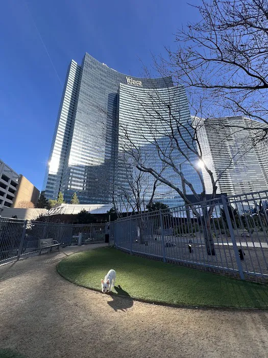 Vdara Dog Park 10