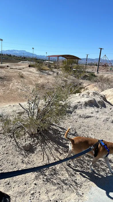 Charlie Frias Dog Area 7