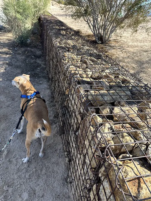 Charlie Frias Dog Area 9