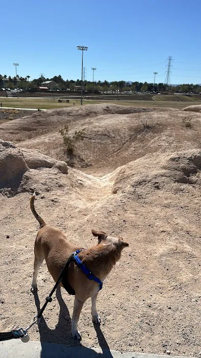Charlie Frias Dog Area 6