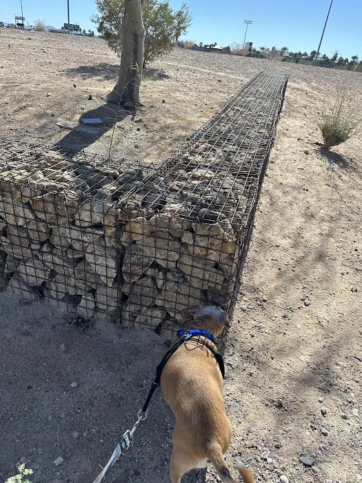 Charlie Frias Dog Area 5