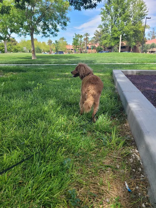 Woofter Family Park 4