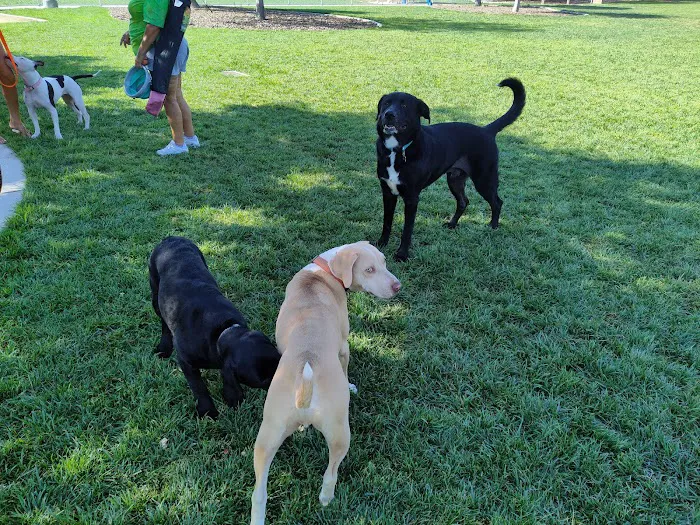 Woofter Family Park 10