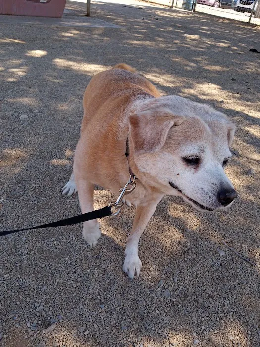 Clark County Dog Fancier's Park 8