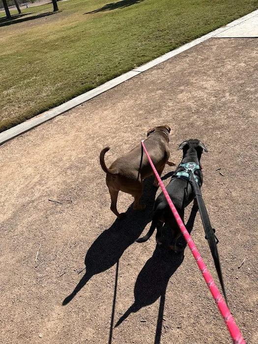 Clark County Dog Fancier's Park 10