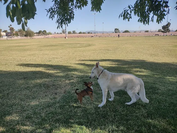 Clark County Dog Fancier's Park 3
