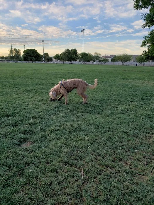 Clark County Dog Fancier's Park 9