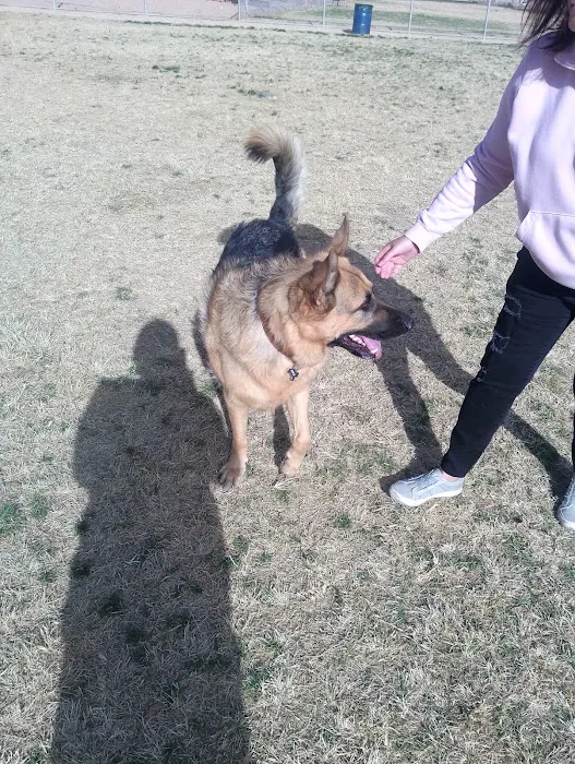 Dog park 9