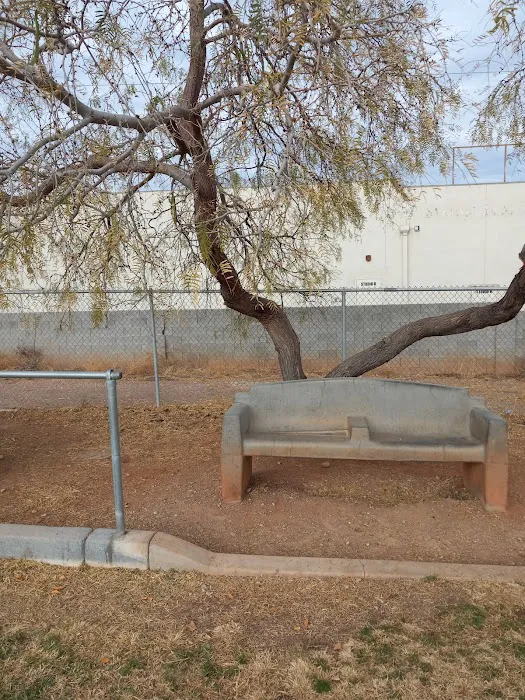 Dog park 4