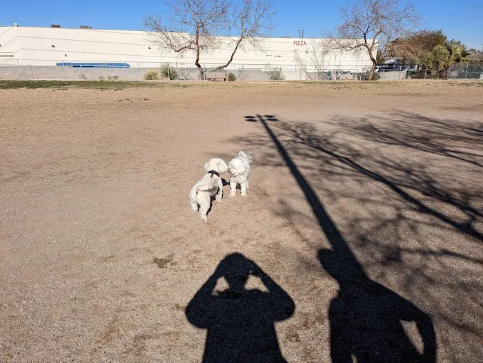 Dog park 7