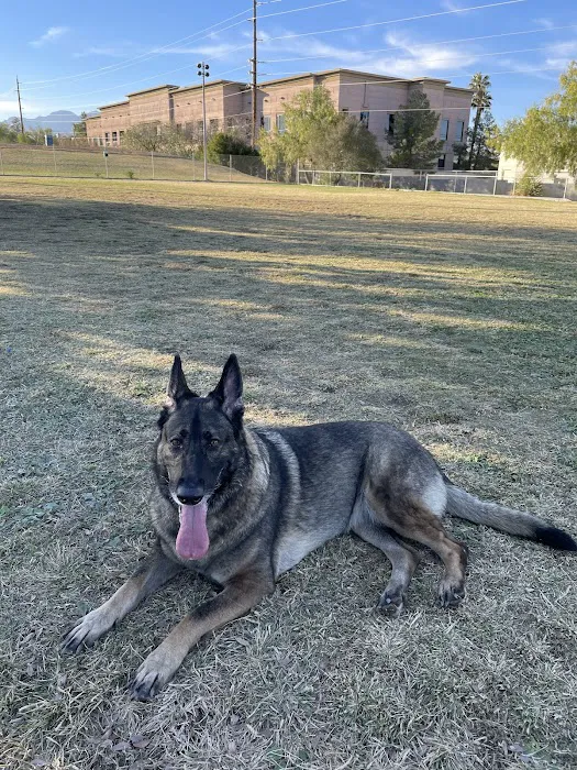 Dog park 2