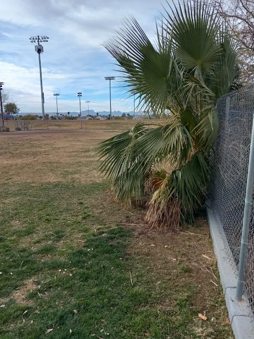Dog park 3