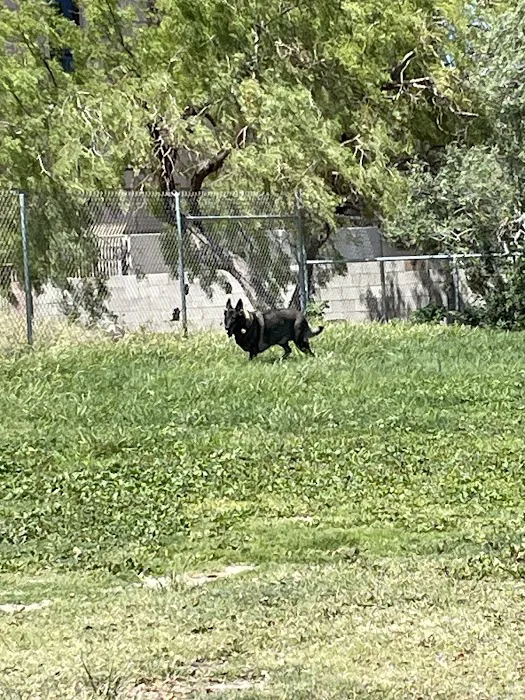 Dog park 8