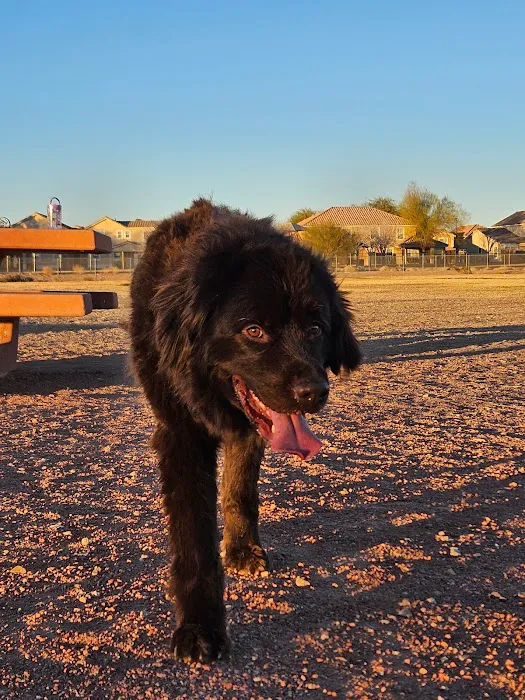 Nellis AFB Dog Park 2