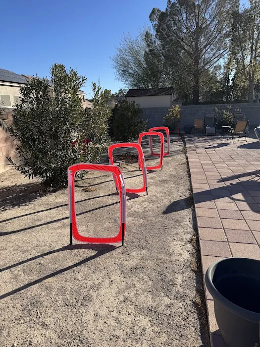Kaurie’s fully fenced yard with agility trading course 5