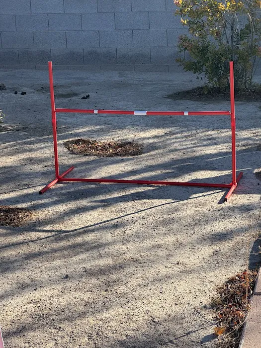 Kaurie’s fully fenced yard with agility trading course 2