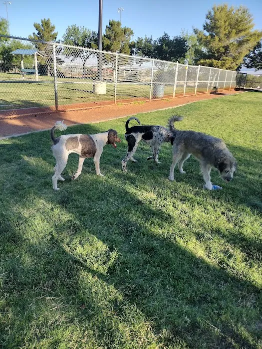 Shadow Rock Dog Park 7