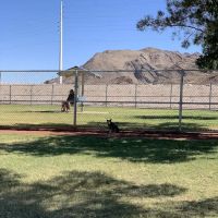 Shadow Rock Dog Park ico