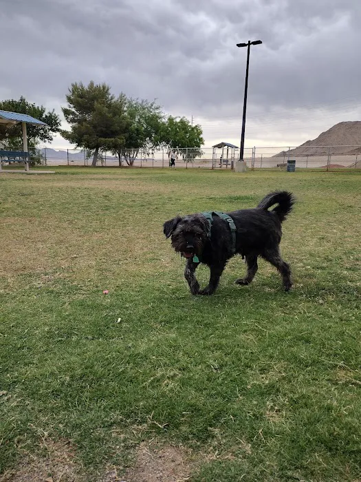 Shadow Rock Dog Park 6