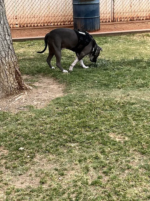 Shadow Rock Dog Park 8