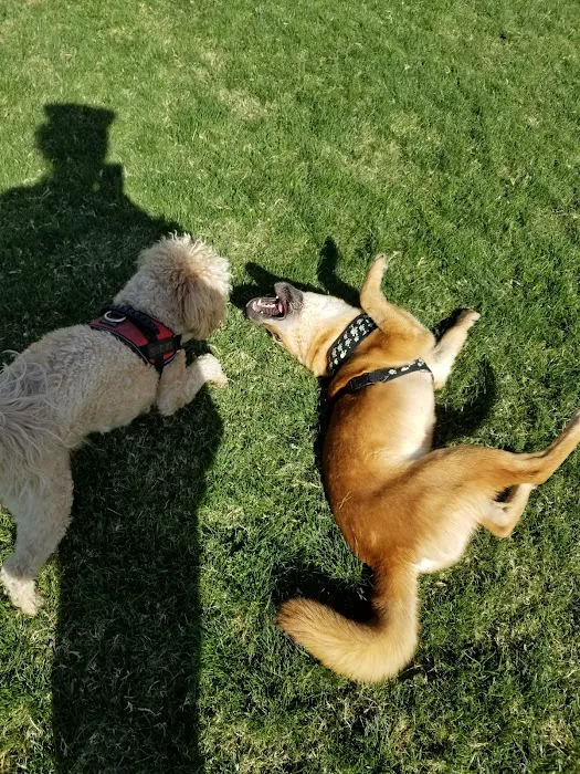 Clark County Dog Park at Spring Valley Community Park 10