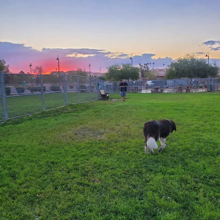 Clark County Dog Park at Spring Valley Community Park 6