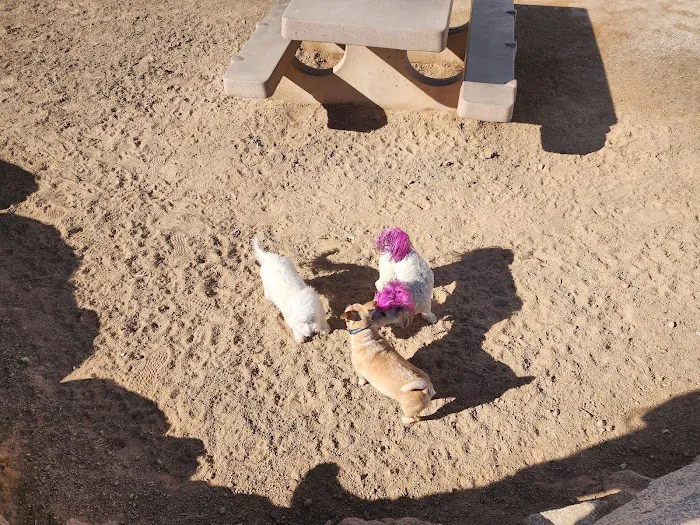 Sunset Dog Park 8