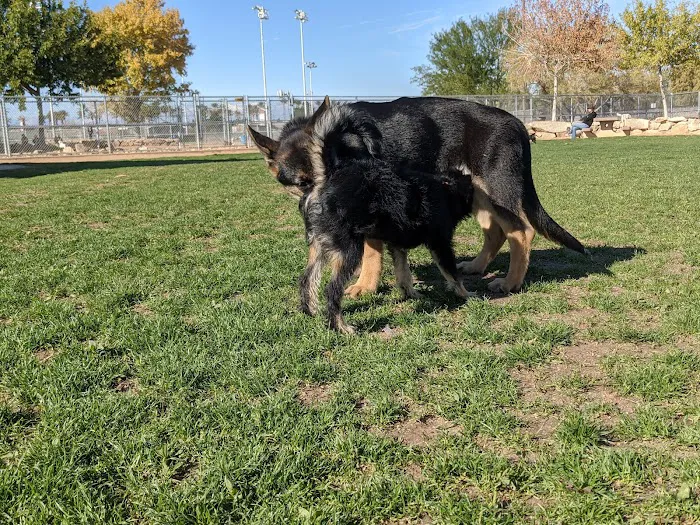 Sunset Dog Park 9