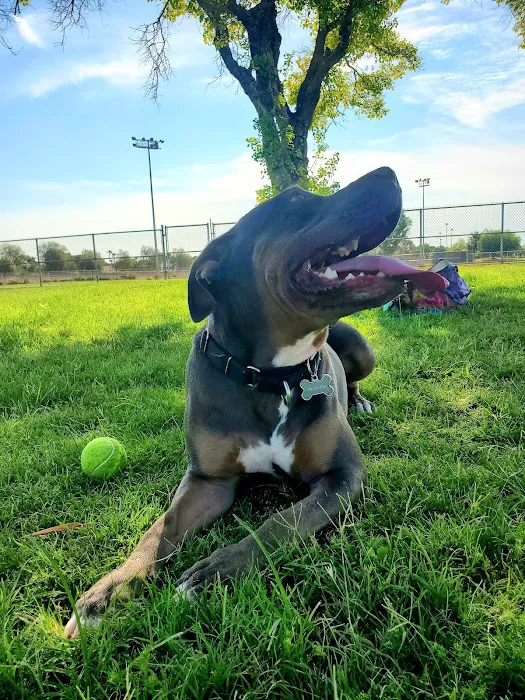 Sunset Dog Park 10