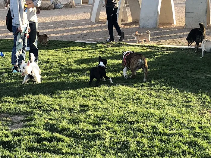 Sunset Dog Park 6