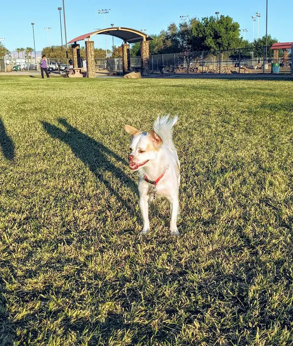 Sunset Dog Park 1