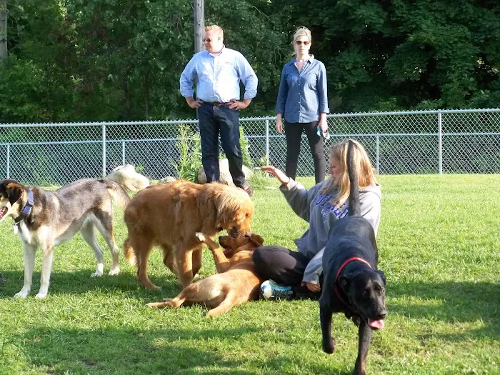 Desert Breeze Dog Park 9