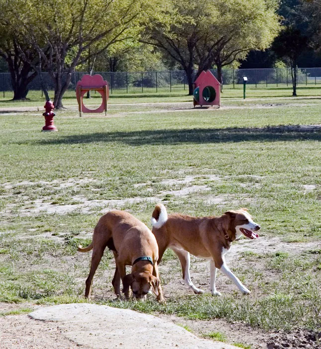 Desert Breeze Dog Park 7