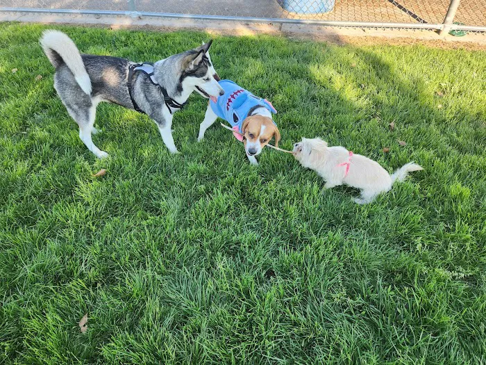 Desert Breeze Dog Park 1