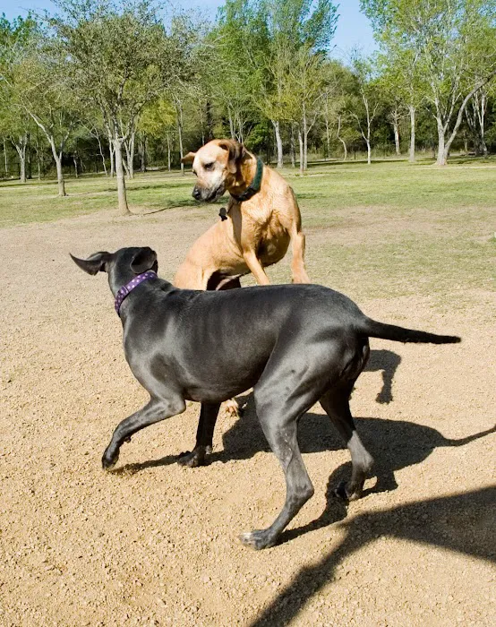 Desert Breeze Dog Park 10