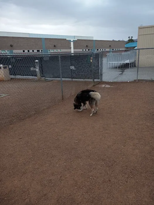 Nicolai's Para Dog park 7