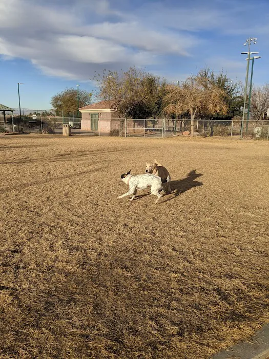 Nicolai's Para Dog park 1