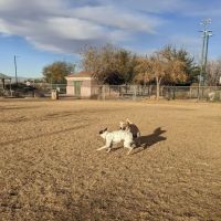 Nicolai's Para Dog park ico