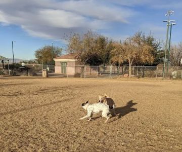 Nicolai's Para Dog park
