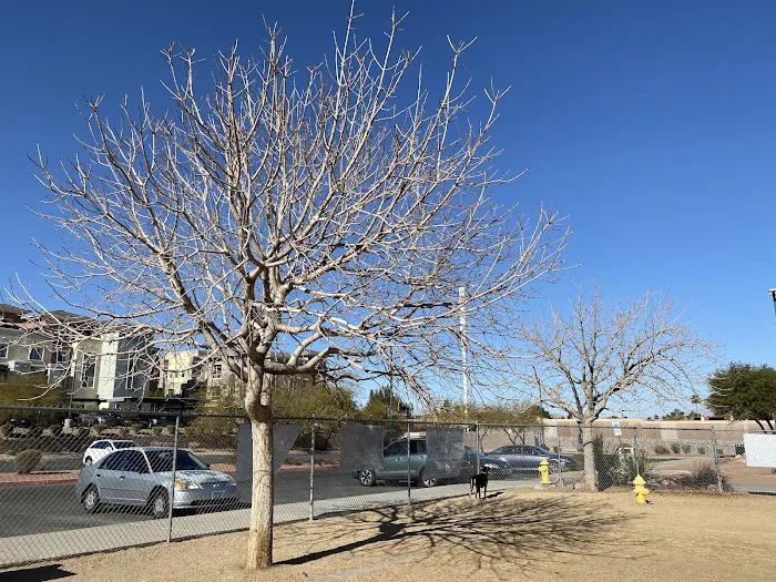Nicolai's Para Dog park 9