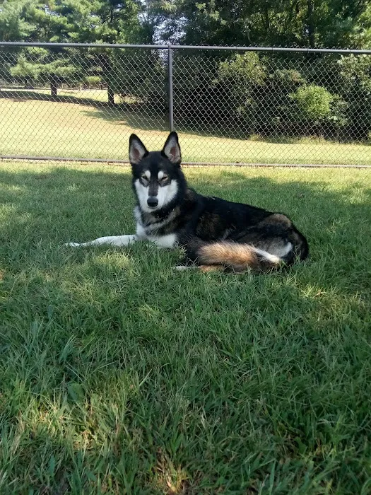 Nicolai's Para Dog park 5