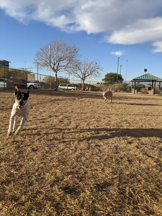 Nicolai's Para Dog park 2