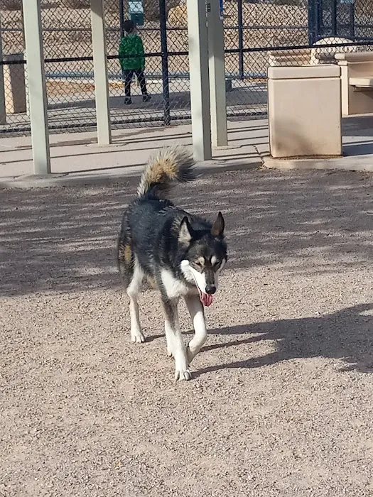 Nicolai's Para Dog park 3