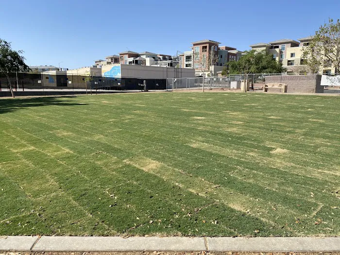Nicolai's Para Dog park 10