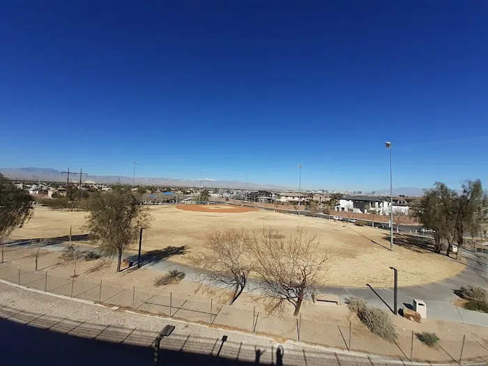 Cactus Wren Park 7