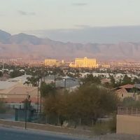 Cactus Wren Park ico